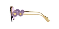 RB4306 Transitions® Sunglasses