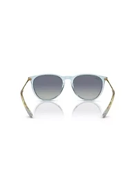 RB4171 Erika Classic Sunglasses