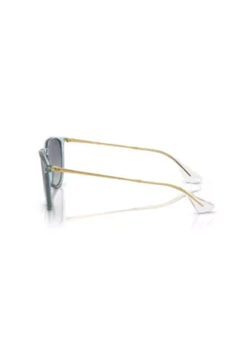 RB4171 Erika Classic Sunglasses