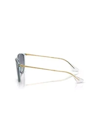 RB4171 Erika Classic Sunglasses