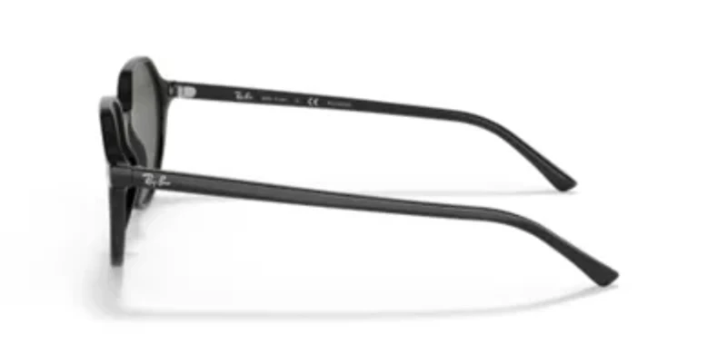 RB2195 Thalia Polarized Sunglasses