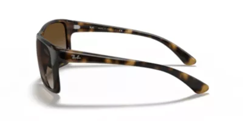 RB4259 Sunglasses