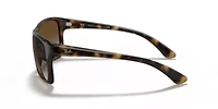 RB4259 Sunglasses