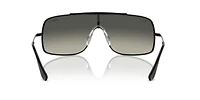 RB3897 Wings III Sunglasses