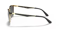 RB3569 Sunglasses