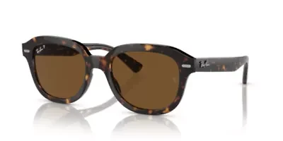 RB4398 Erik Polarized Sunglasses