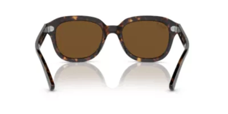 RB4398 Erik Polarized Sunglasses