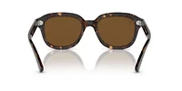 RB4398 Erik Polarized Sunglasses