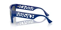 RB3701 Polarized Sunglasses