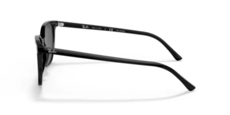 RB2197 Elliot Sunglasses