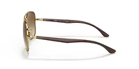RB3683 Sunglasses