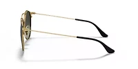 RB3546 Sunglasses