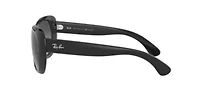 RB2193 Leonard Polarized Sunglasses