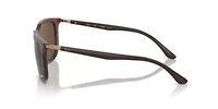 RB4386 Polarized Sunglasses