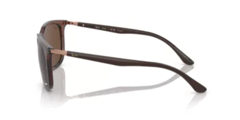 RB4386 Polarized Sunglasses