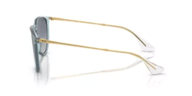 RB4171 Erika Classic Sunglasses
