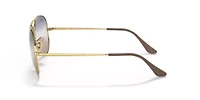 RB3689 Bi-Gradient Sunglasses