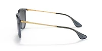 Erika Classic Polarized Sunglasses