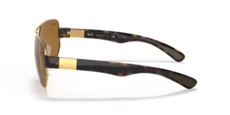 RB3672 Polarized Sunglasses