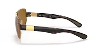 RB3672 Polarized Sunglasses