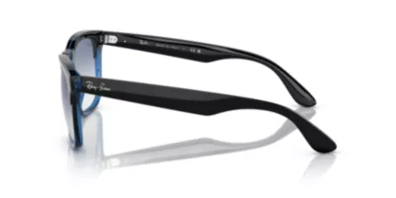 RB4487 Steve Sunglasses