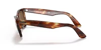 TF4170 Sunglasses