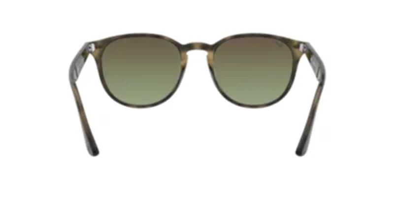 RB4361 Evolve Sunglasses