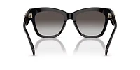 RB2398 Eagle Eye Polarized Sunglasses