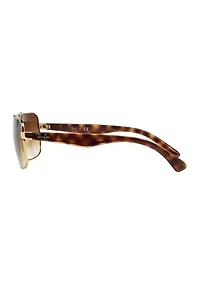 RB3483 Sunglasses