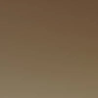 RB4191 Polarized Sunglasses