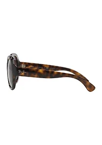 RB4191 Polarized Sunglasses
