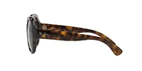 RB4191 Polarized Sunglasses