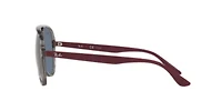 RB4376 Polarized Sunglasses