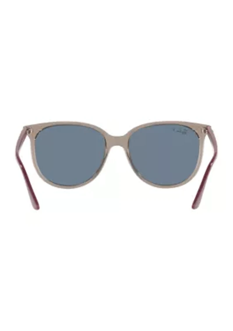 RB4378 Polarized Sunglasses