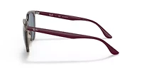 RB4378 Polarized Sunglasses
