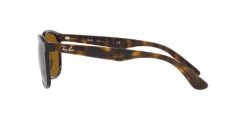 RB4374 Sunglasses