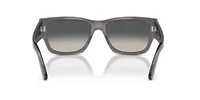 RB0947S Carlos Sunglasses