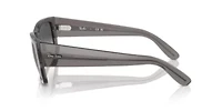 RB0947S Carlos Sunglasses