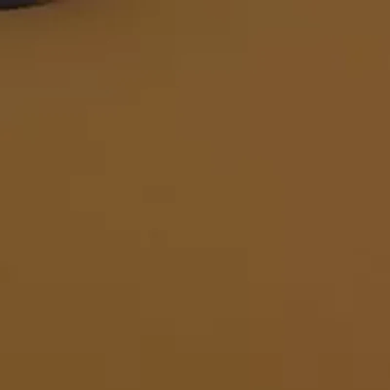 RB2132 New Wayfarer Bicolor Polarized Sunglasses