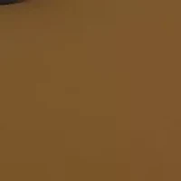 RB2132 New Wayfarer Bicolor Polarized Sunglasses