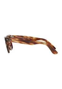 TF4170 Sunglasses