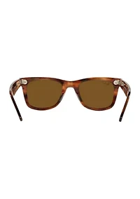TF4170 Sunglasses