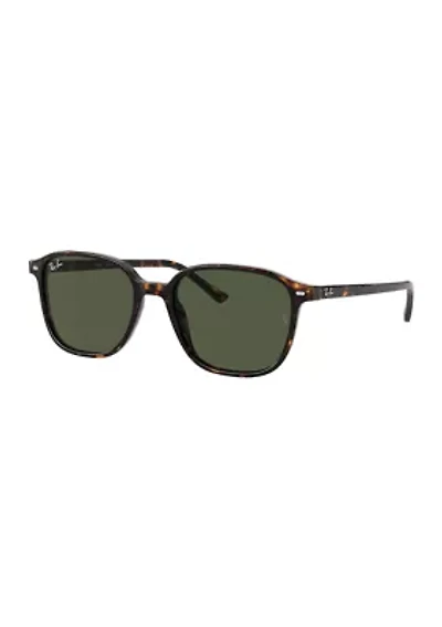 RB2193 Leonard Sunglasses