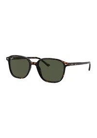 RB2193 Leonard Sunglasses