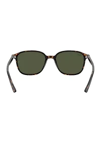 RB2193 Leonard Sunglasses