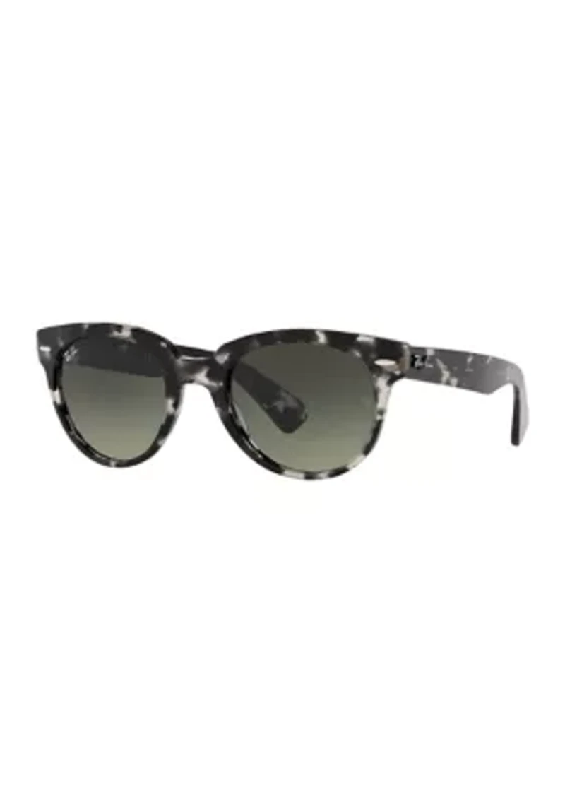 RB2199 Orion Sunglasses