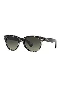 RB2199 Orion Sunglasses