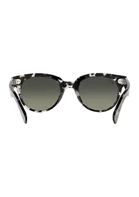 RB2199 Orion Sunglasses