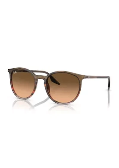 RB2204 Sunglasses