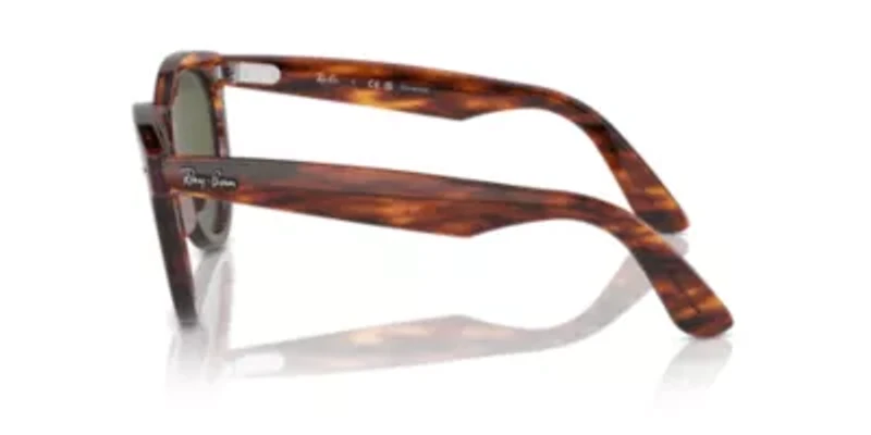 RB2241 Wayfarer Way Polarized Sunglasses